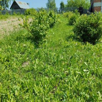 Продается Участок, 590 м²