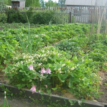 Продается Участок, 600 м²