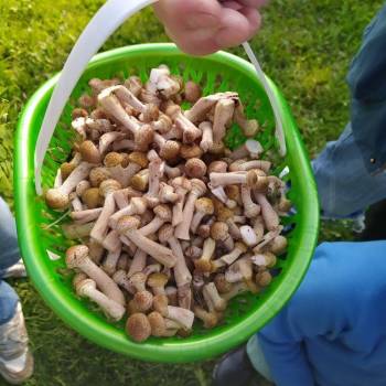 Продается Дом, 110 м²