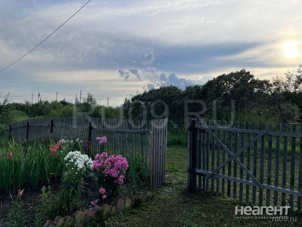 Фотография №3