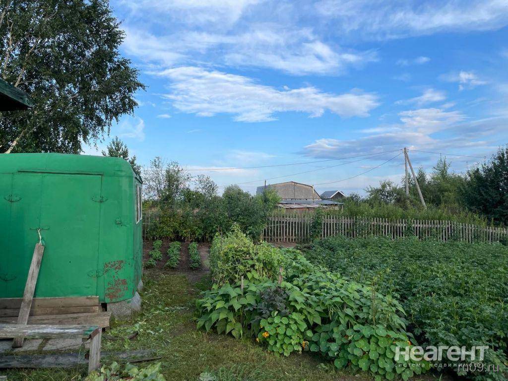 Фотография №4