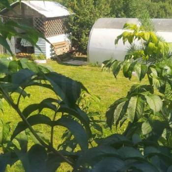 Продается Дом, 50 м²