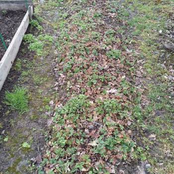 Продается Участок, 400 м²