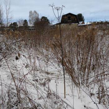 Продается Участок, 600 м²