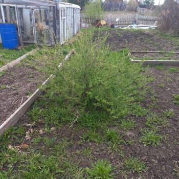 Продается Дом, 14 м²