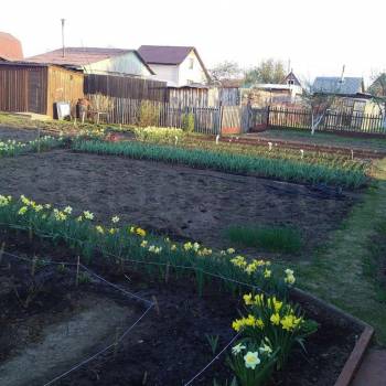 Продается Дом, 50 м²