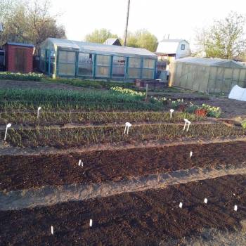 Продается Дом, 50 м²