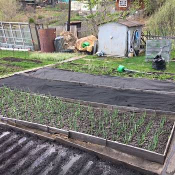 Продается Участок, 580 м²