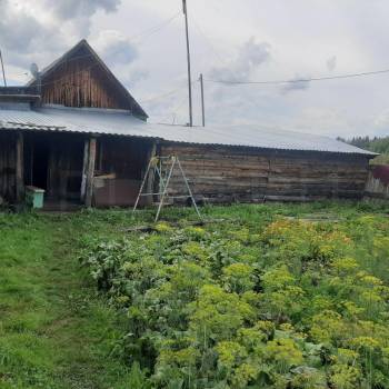 Продается Дом, 36 м²