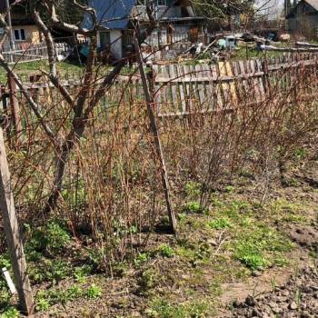 Продается Участок, 500 м²