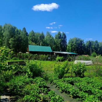 Продается Участок, 600 м²