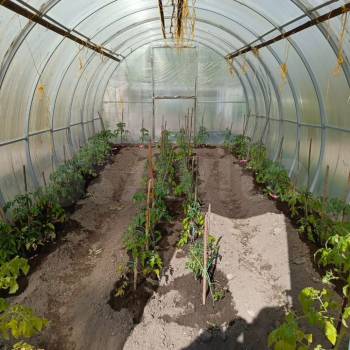 Продается Дом, 80 м²