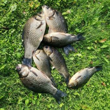 Продается Дом, 93 м²