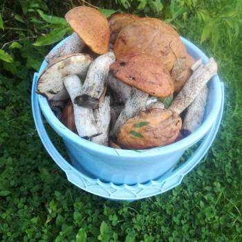 Продается Дом, 93 м²