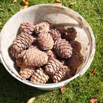 Продается Дом, 93 м²