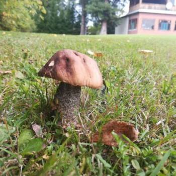 Продается Дом, 93 м²