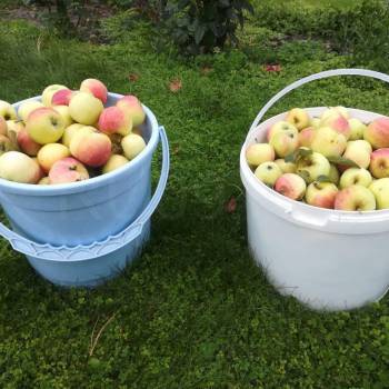 Продается Дом, 93 м²