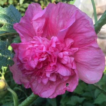 Продается Участок, 1000 м²