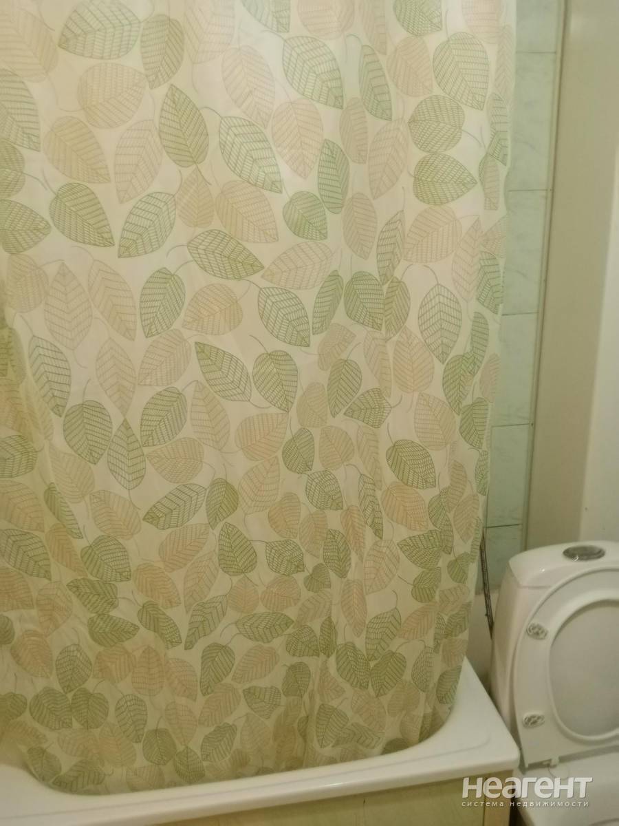 Фотография №4