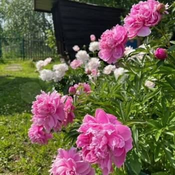 Продается Дом, 19 м²