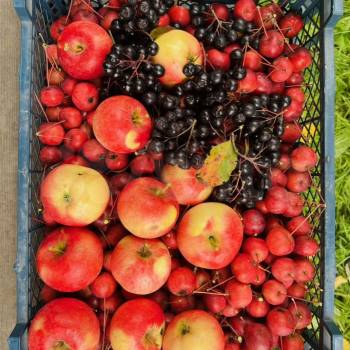 Продается Дом, 19 м²