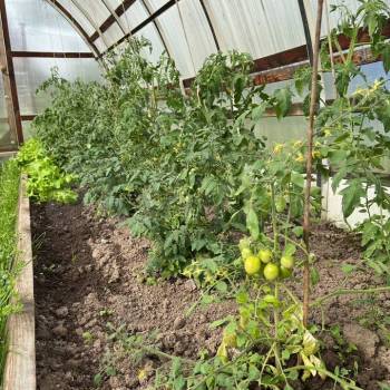 Продается Дом, 19 м²