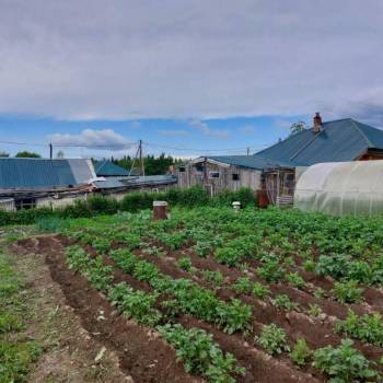 Продается Дом, 59 м²