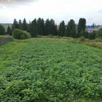 Продается Участок, 1500 м²