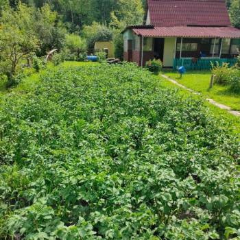Продается Дом, 45 м²