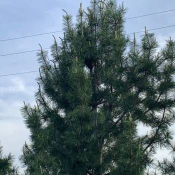 Продается Участок, 2200 м²