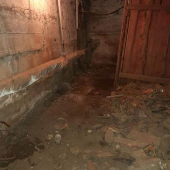 Сдается Нежилое помещение, 380 м²