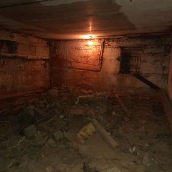 Сдается Нежилое помещение, 380 м²