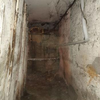 Сдается Нежилое помещение, 380 м²