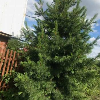 Продается Дом, 20 м²