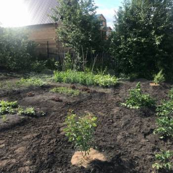 Продается Дом, 20 м²