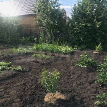 Продается Дом, 20 м²