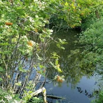 Продается Участок, 900 м²