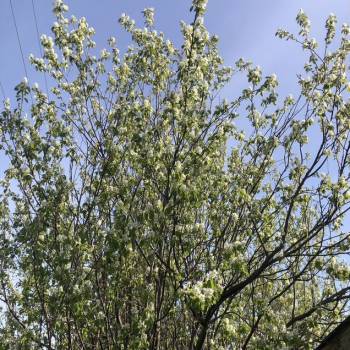 Продается Дом, 40 м²