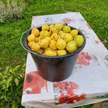 Продается Дом, 24 м²