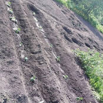 Продается Дом, 24 м²