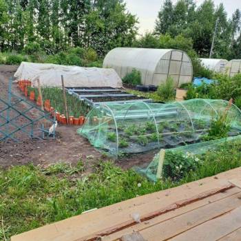 Продается Дом, 24 м²