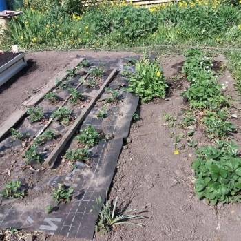 Продается Дом, 24 м²