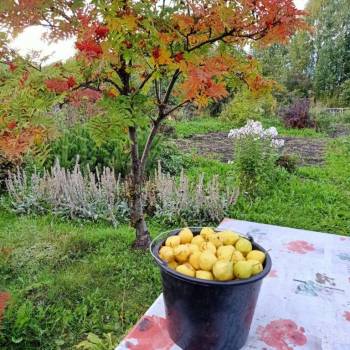 Продается Дом, 24 м²