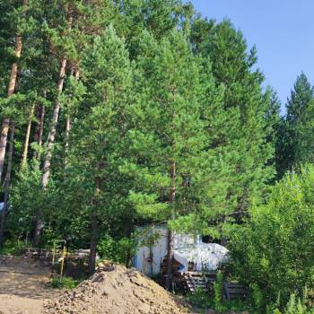 Продается Участок, 1590 м²