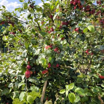 Продается Дом, 102 м²