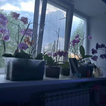 Сдается Комната, 15 м²