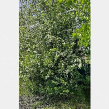 Продается Участок, 440 м²