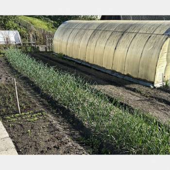 Продается Участок, 800 м²