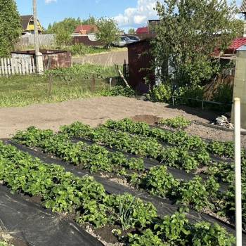 Продается Участок, 800 м²