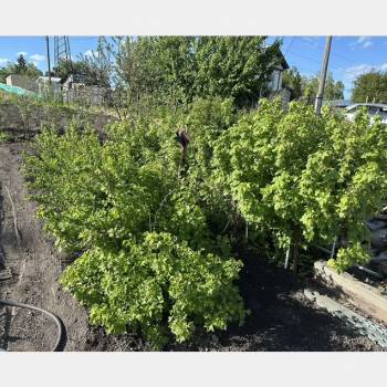 Продается Участок, 800 м²